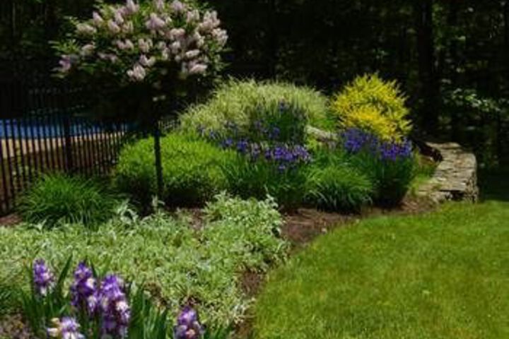 Primrose Hill Bed & Breakfast