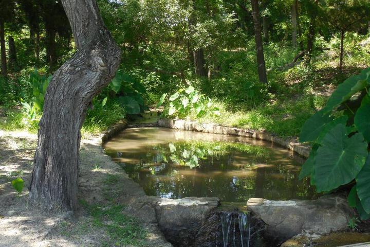 Dogwood Springs Lodgings