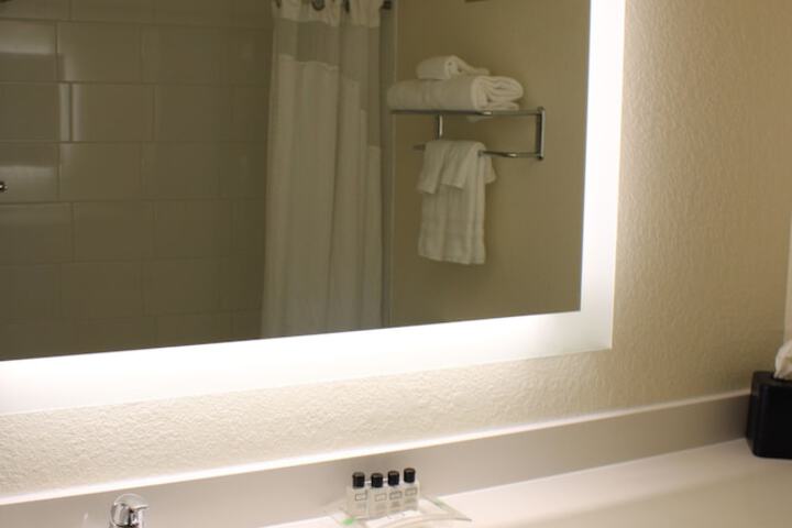 Wyndham Flint MI / Grand Blanc/Bishop Airport/Conference Ct