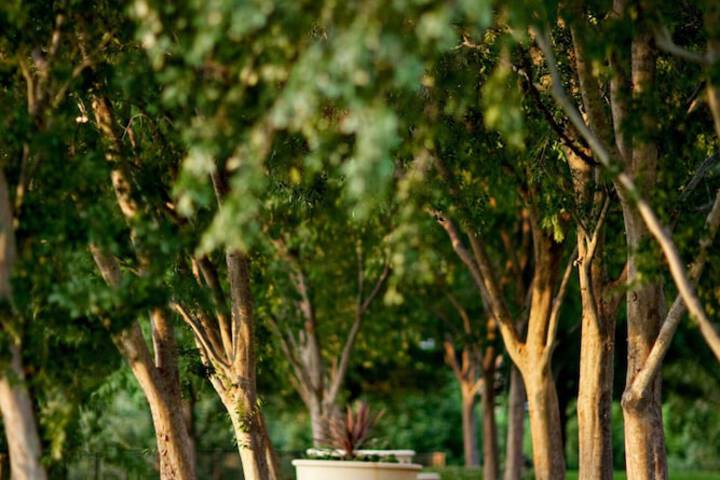 The Westin Dallas Stonebriar Golf Resort & Spa