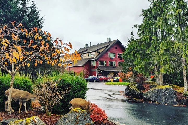 Hotel 5 of 44