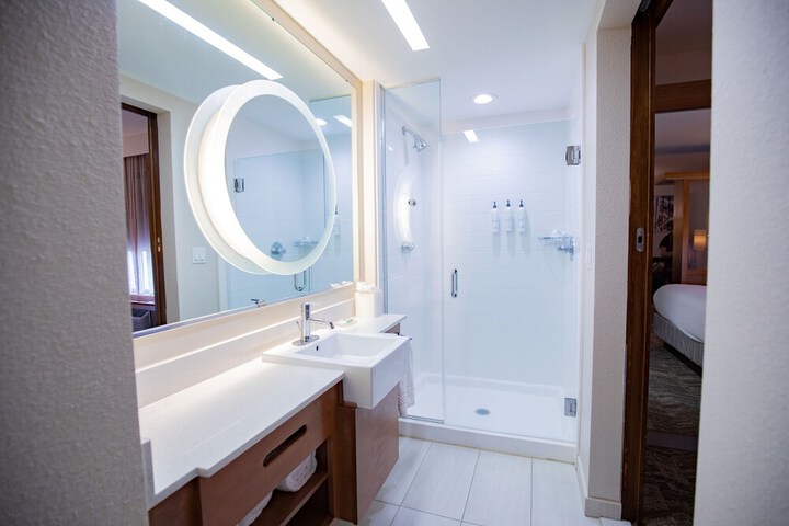 SpringHill Suites by Marriott Baton Rouge Gonzales