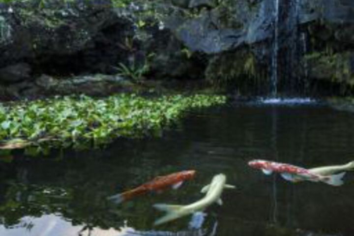 Hana Kai Maui