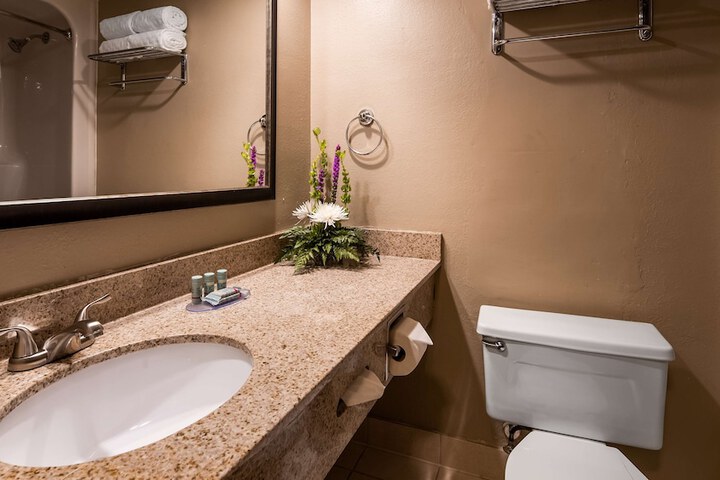 Best Western Detroit Livonia