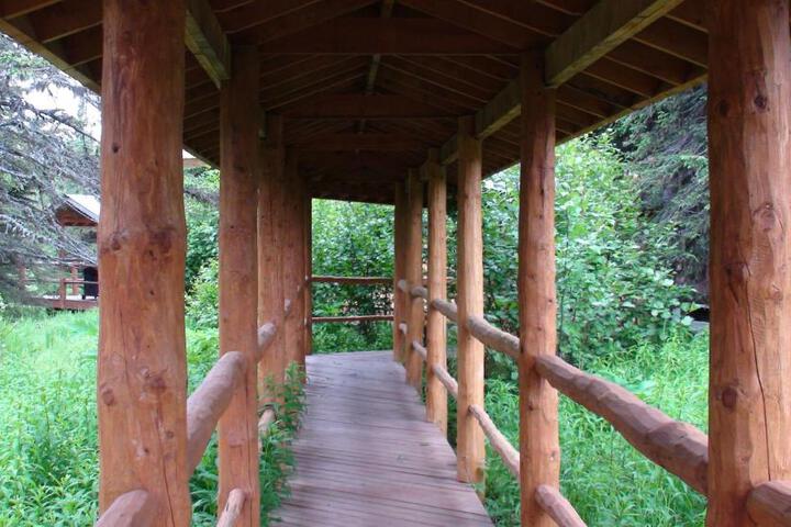 Moose Cabin