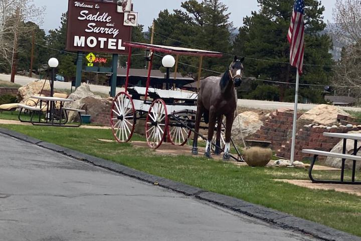 Hotel 3 of 48