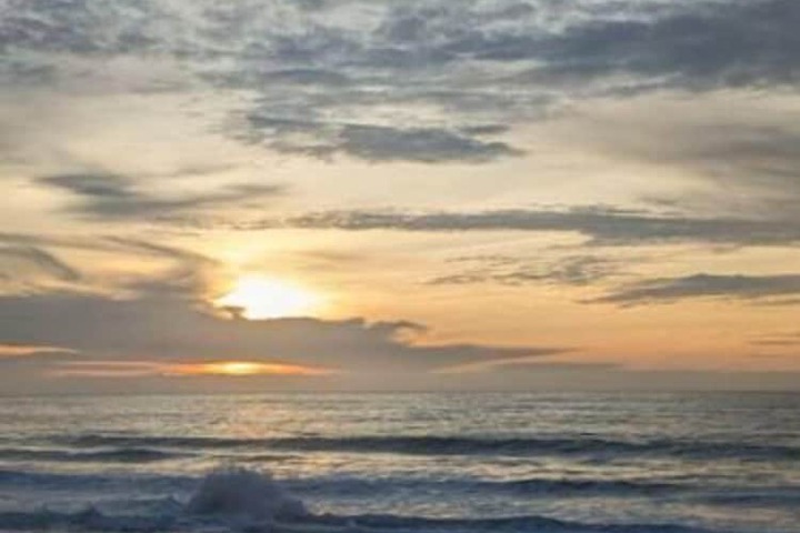 Coastal Palm Tree 2BR Retreat Ocean View