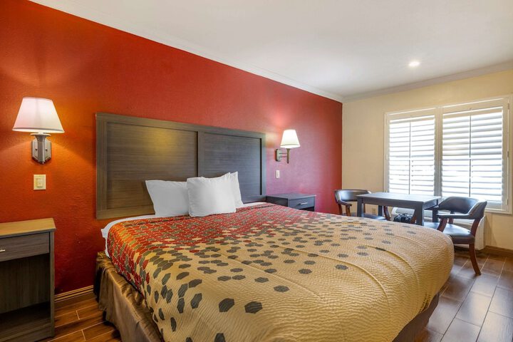 Room 6 of 31