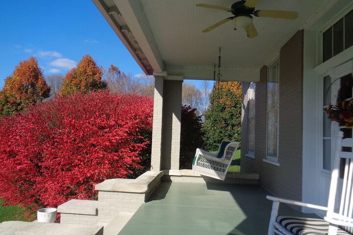 Terrace/Patio 56 of 58