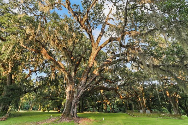 Greenwood Plantation B & B