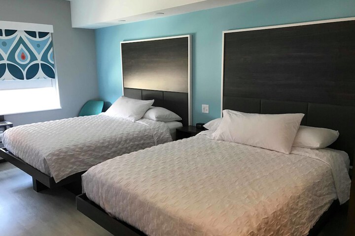 Room 30 of 65