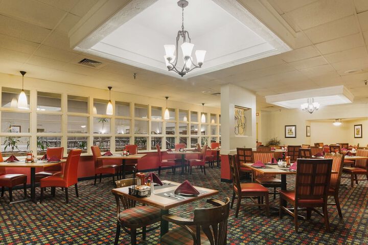 Dining 62 of 67