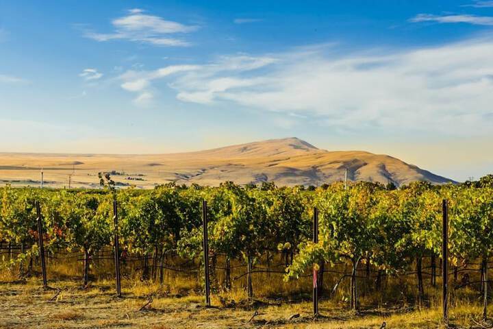 Holiday Inn Express and Suites Union Gap- Yakima Area by IHG