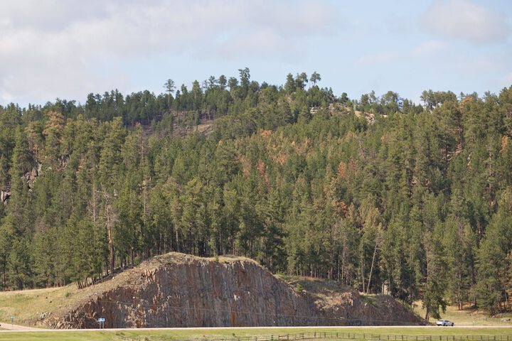 Mountain View Lodge & Cabins