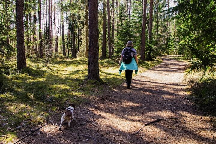 Outdoor Activities 46 of 47