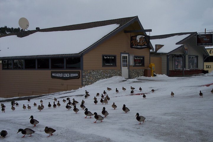 June Lake Villager