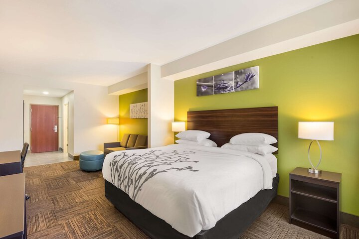 Sleep Inn & Suites North Mobile Saraland