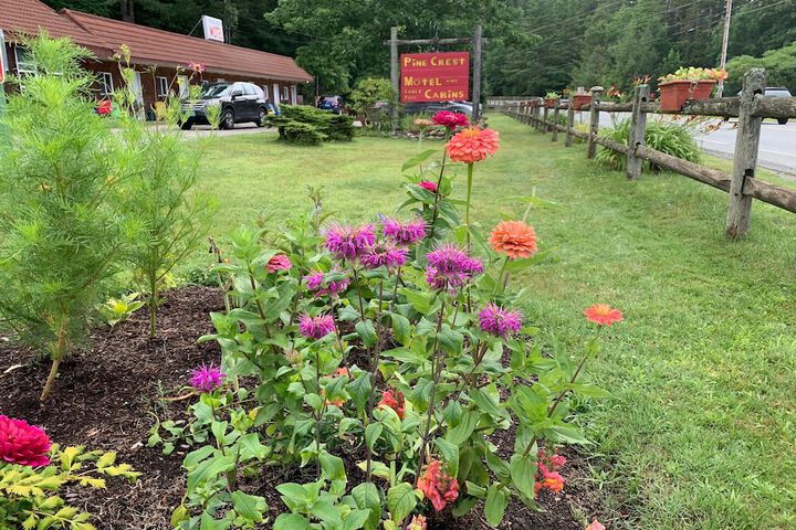 Pine Crest Motel & Cabins