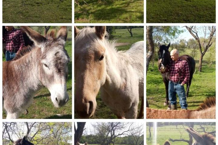 Constantino Farms