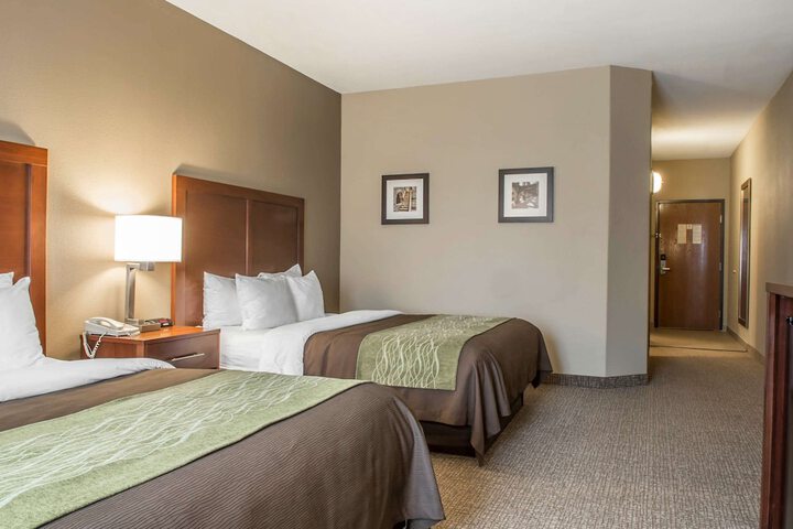 Comfort Inn Edinburg South