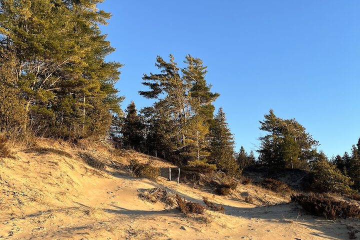 Beach 153 of 162