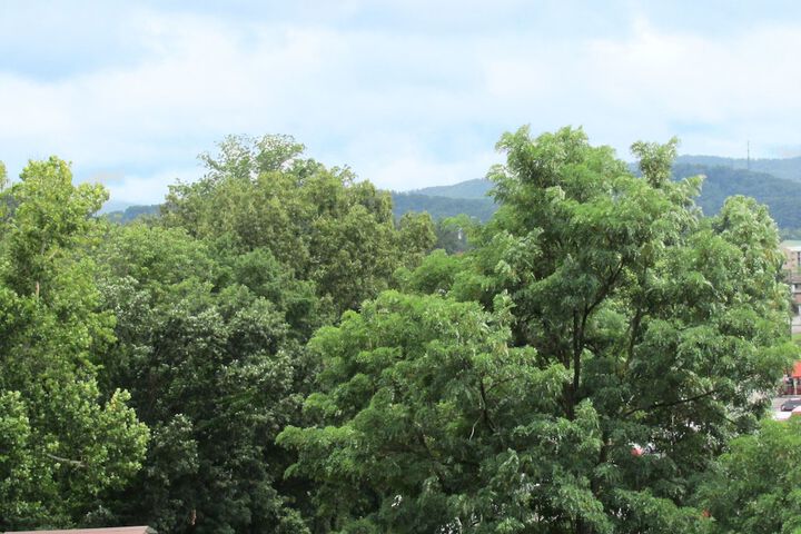 Hotel View 69 of 80