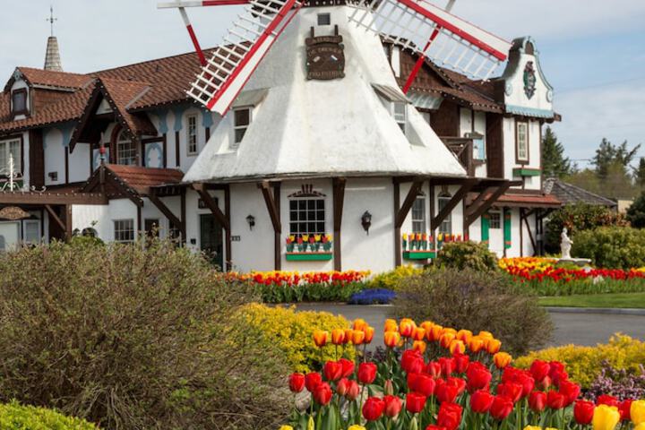 Auld Holland Inn