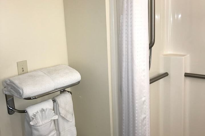 Holiday Inn & Suites Ann Arbor Univ Michigan Area by IHG