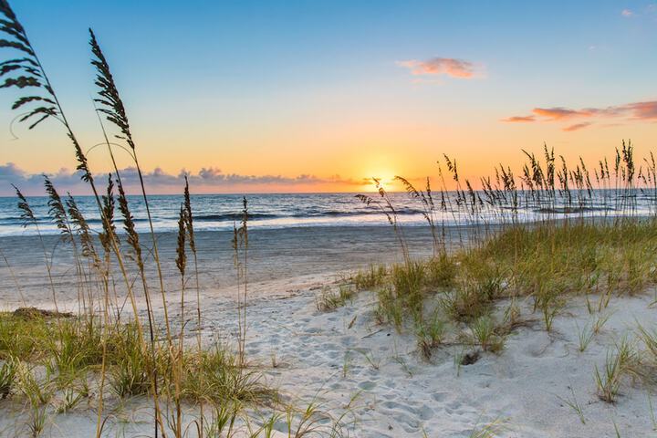 SpringHill Suites by Marriott Amelia Island