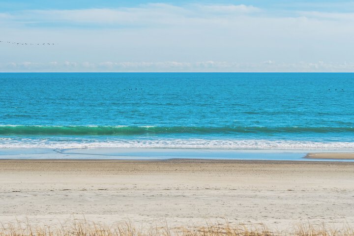 Paradise Palms by Topsail Realty