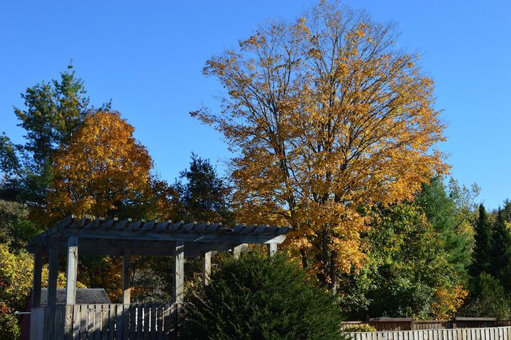 Terrace/Patio 54 of 60