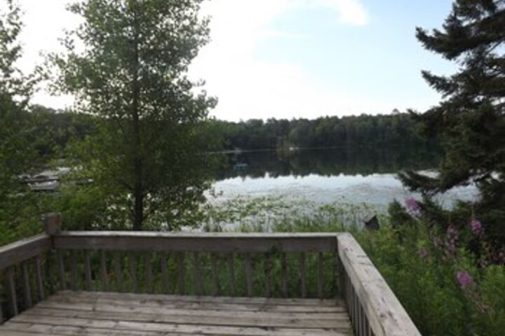 Shady Hollow Resort
