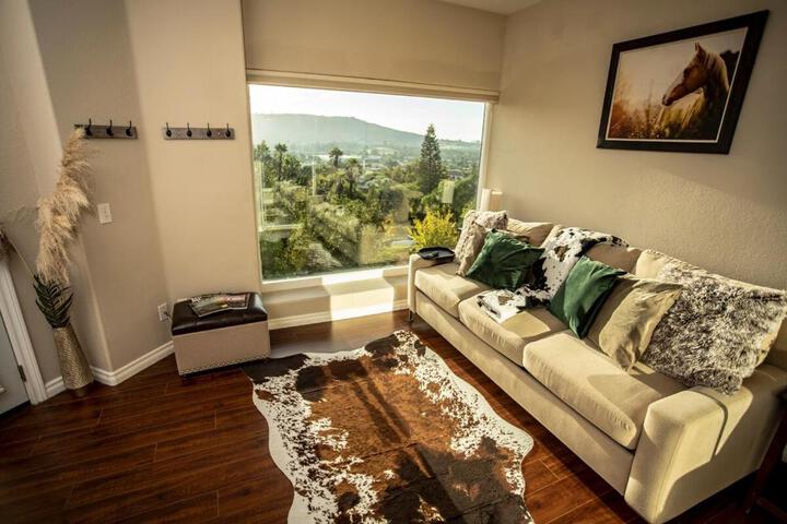 Buena Creek Vista Primary Subdivided Home with Views and Pool