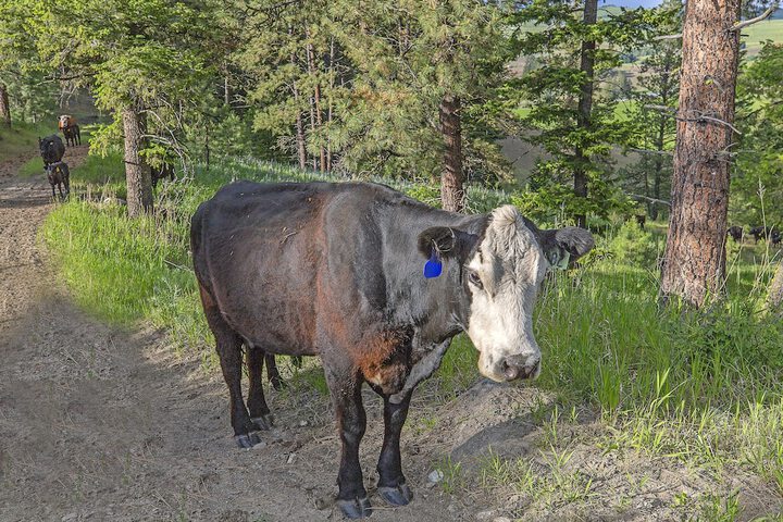 Eden Valley Guest Ranch