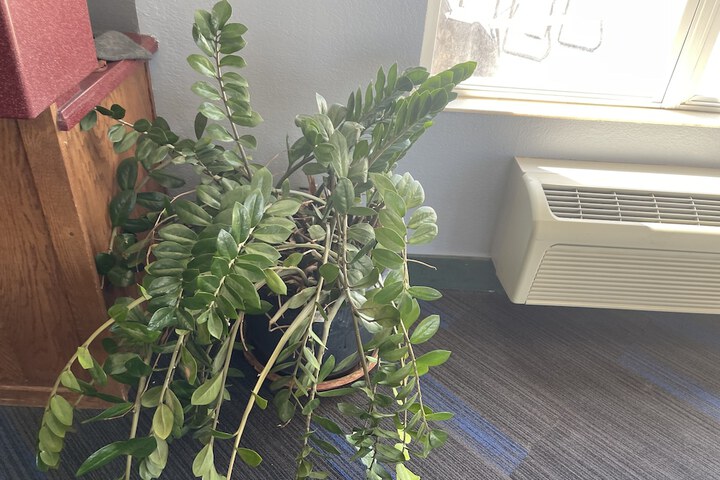 Hotel Interior 10 of 110