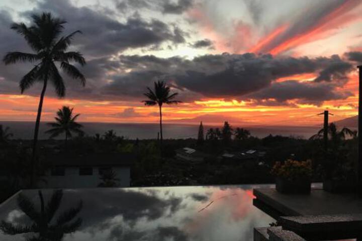 Pulelehua Nani