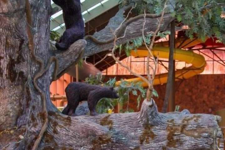 Westgate Smoky Mountain Resort & Water Park