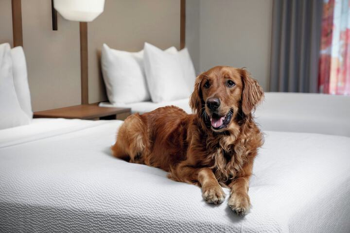 Fairfield Inn & Suites by Marriott Sarasota Lakewood Ranch