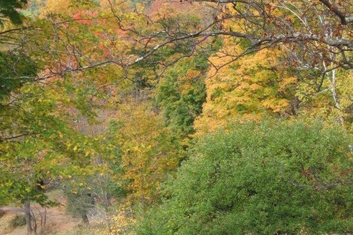 Retreat at TreeGap
