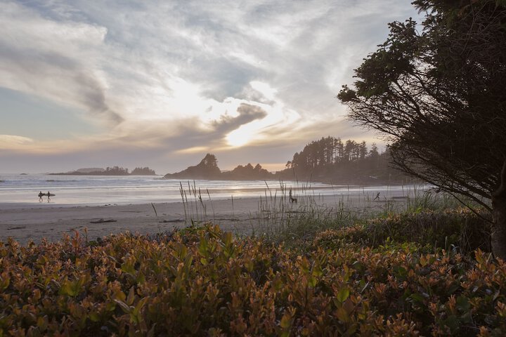 Beach 38 of 53