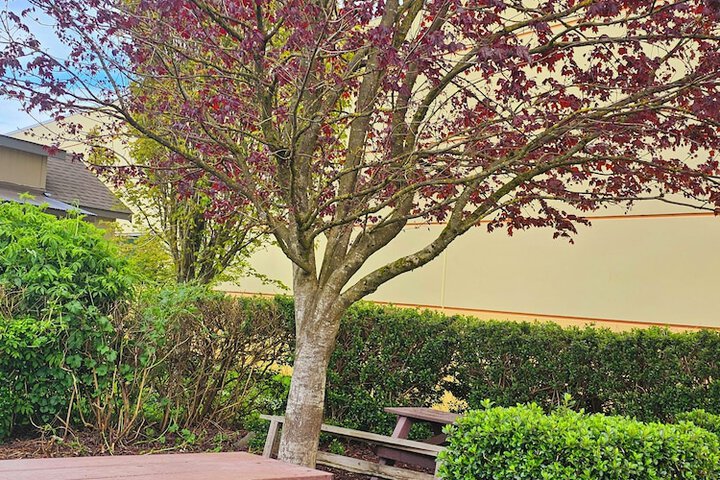 Ashley Inn of Tillamook