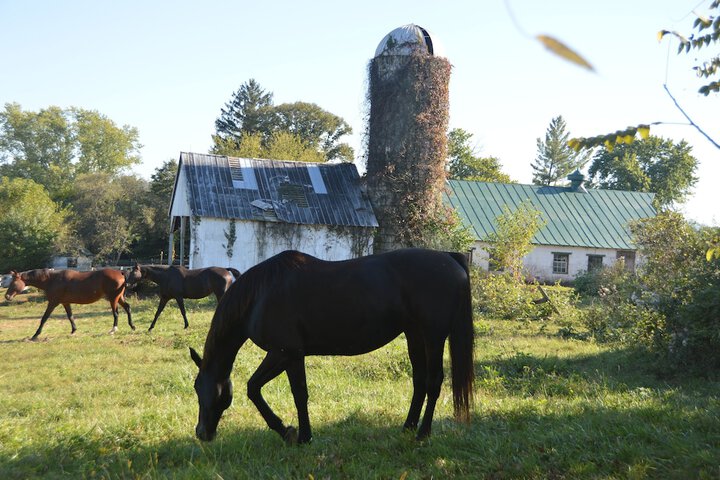 Property Grounds 53 of 54