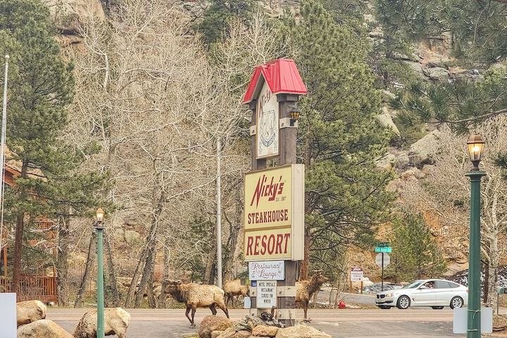 Nickys Resort