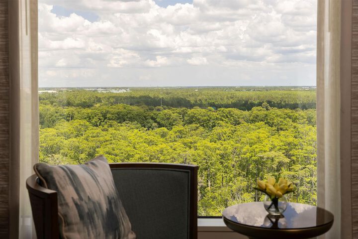 Waldorf Astoria Orlando - An Official Walt Disney World Hotel