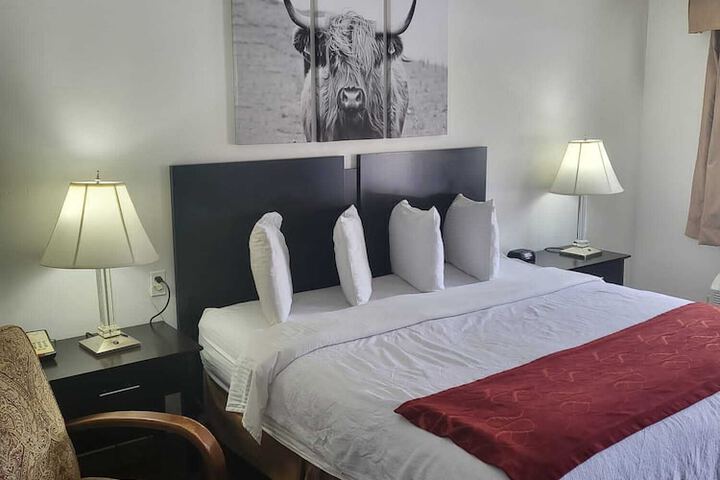 Room 43 of 54