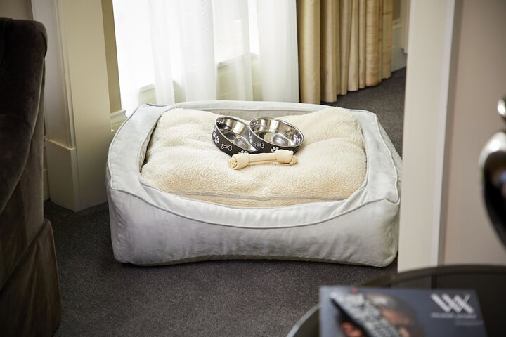Pet Friendly 201 of 213
