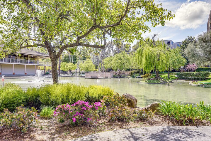 Tranquil Walnut Creek Condo w / Community Amenities
