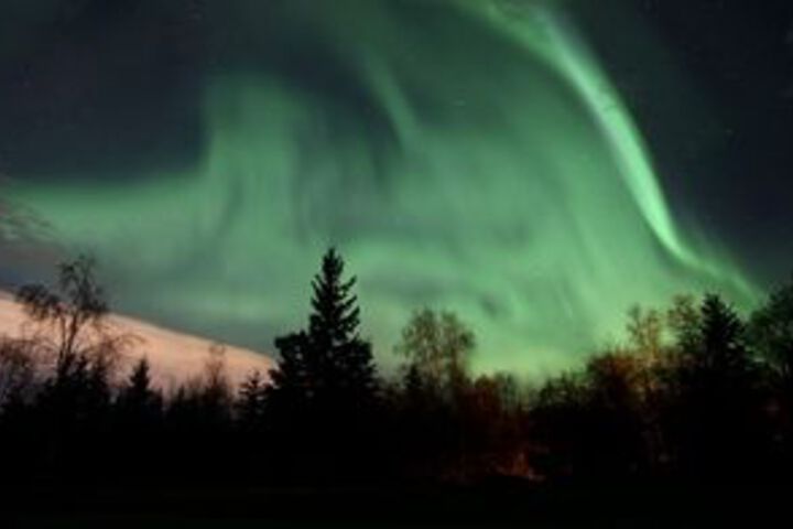 Fairbanks Moose Manor B & B
