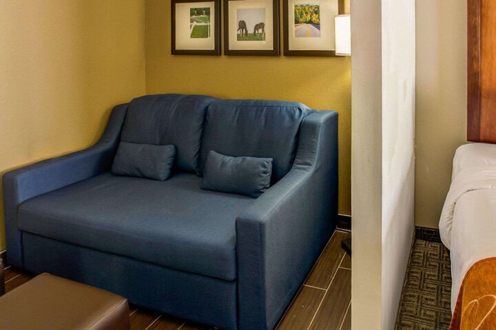 Comfort Suites Georgetown