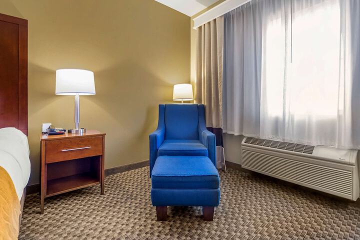 Comfort Inn Auburn - Seattle